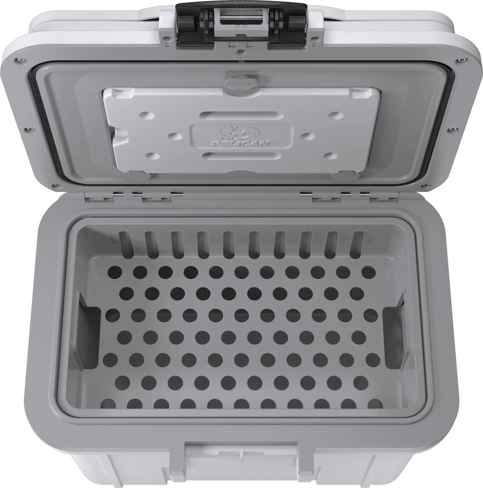 8QT Personal Cooler