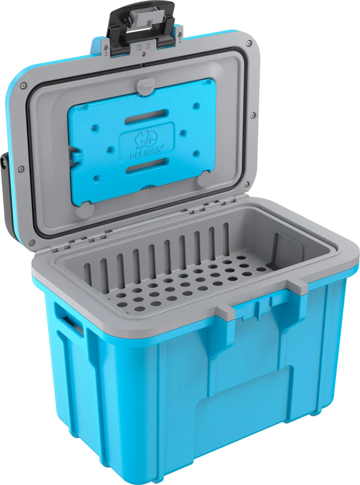 8QT Personal Cooler