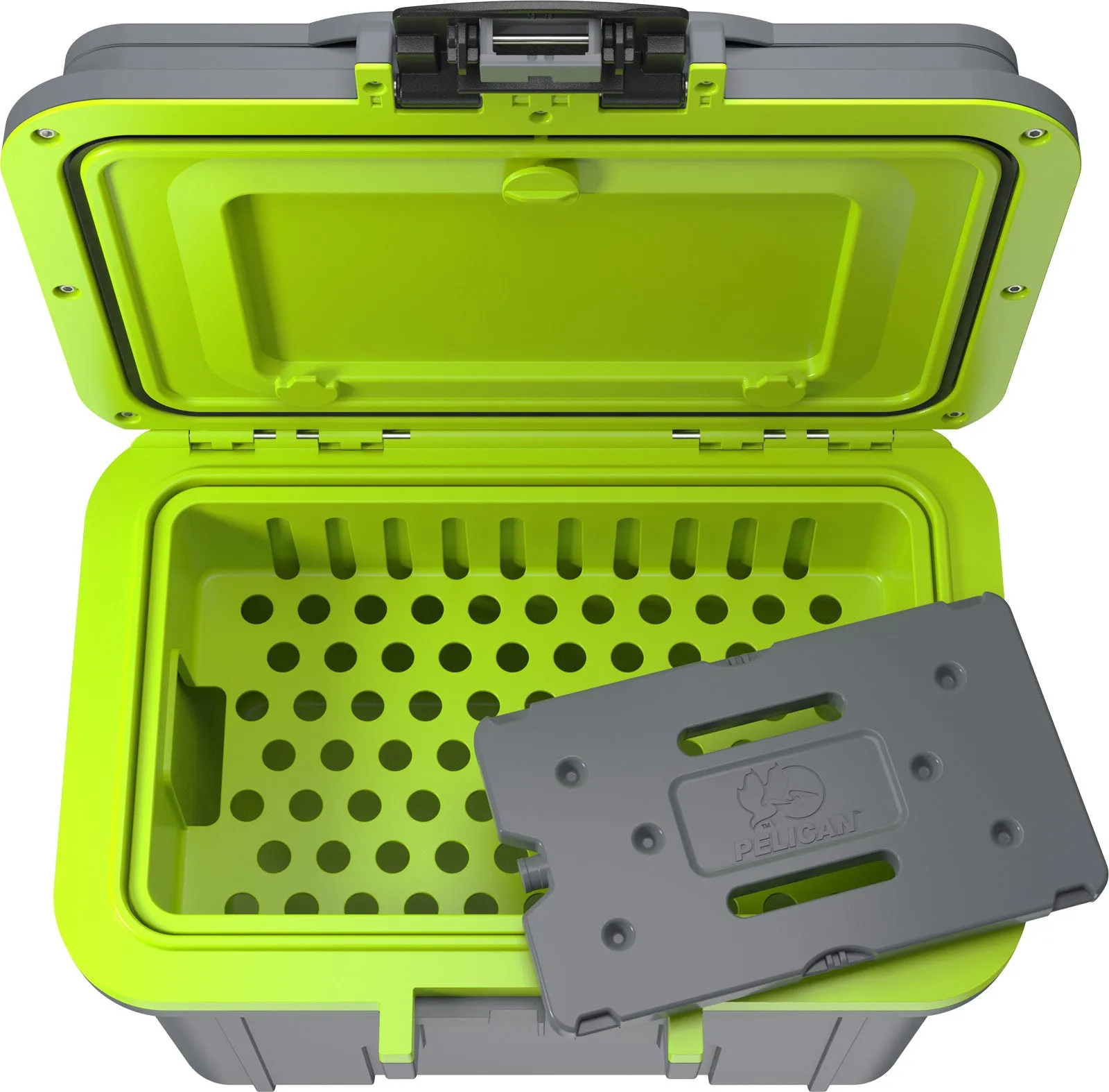 8QT Personal Cooler