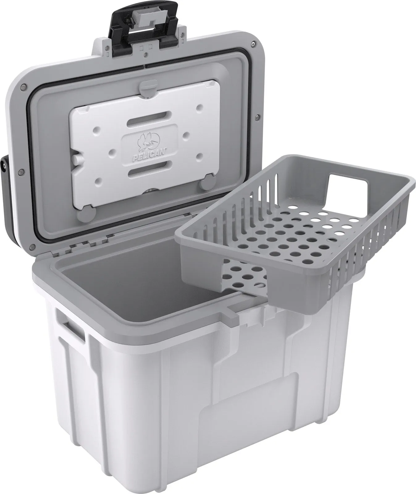 8QT Personal Cooler