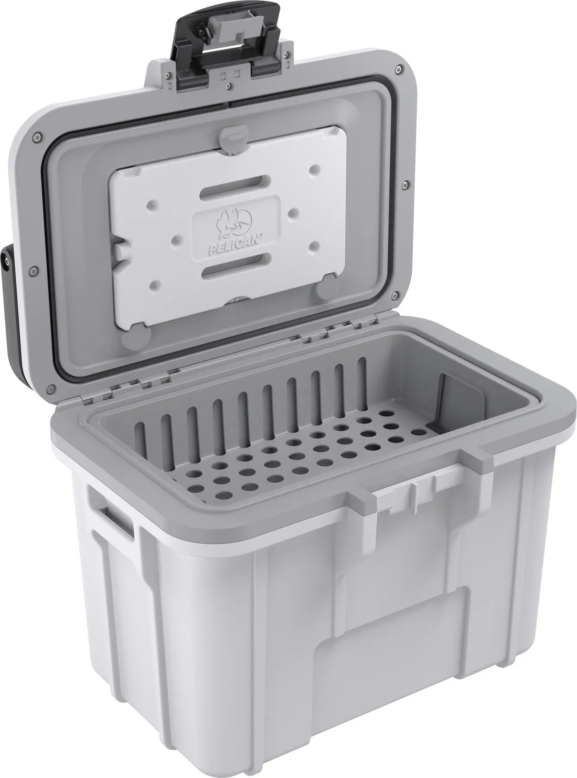 8QT Personal Cooler