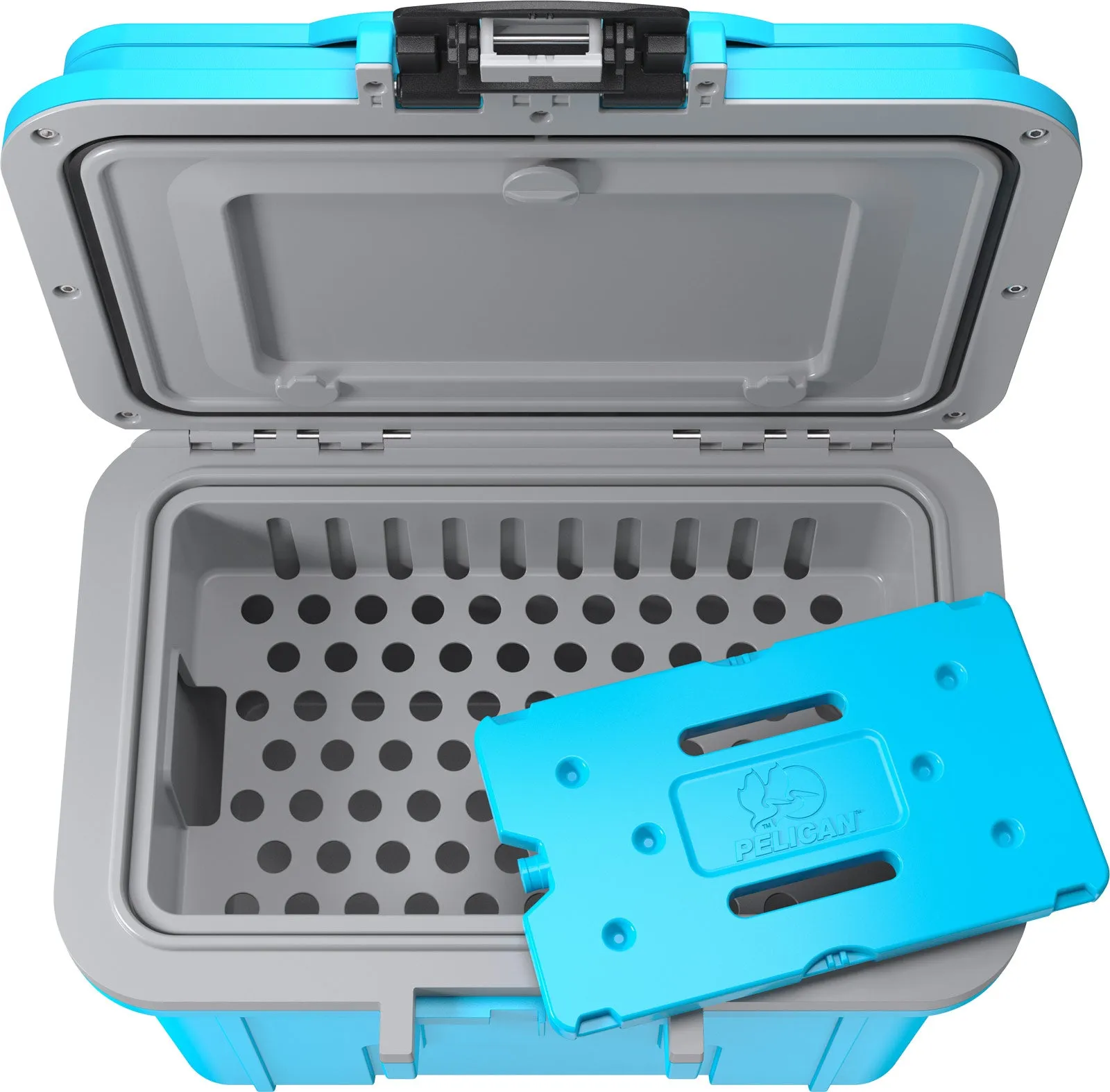 8QT Personal Cooler
