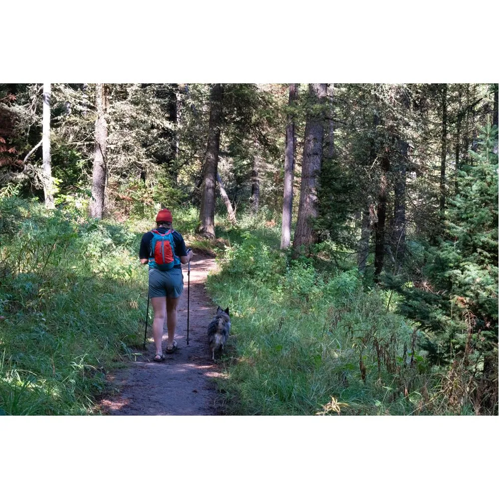 Bastones Peregrine (Uinta Carbon Folding Trekking Pole)