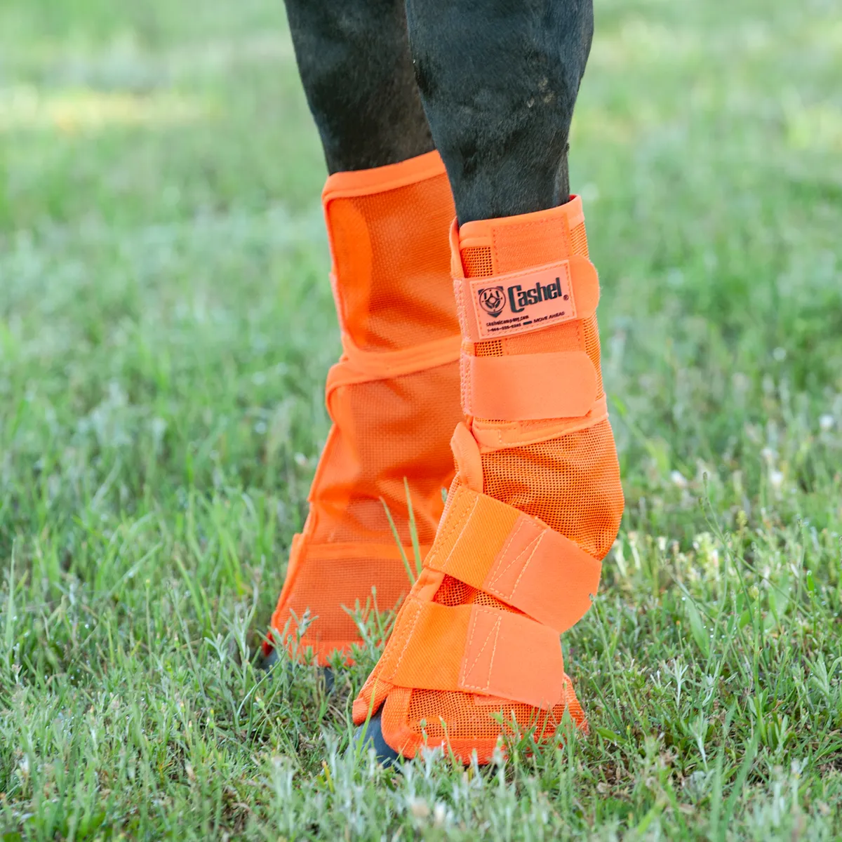 Cashel Crusader Leg Guards