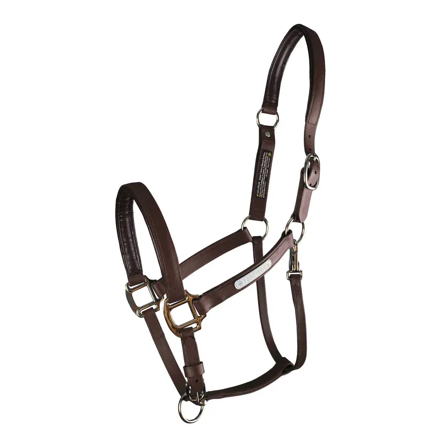 Equilibrium Stellar All Weather Headcollar II