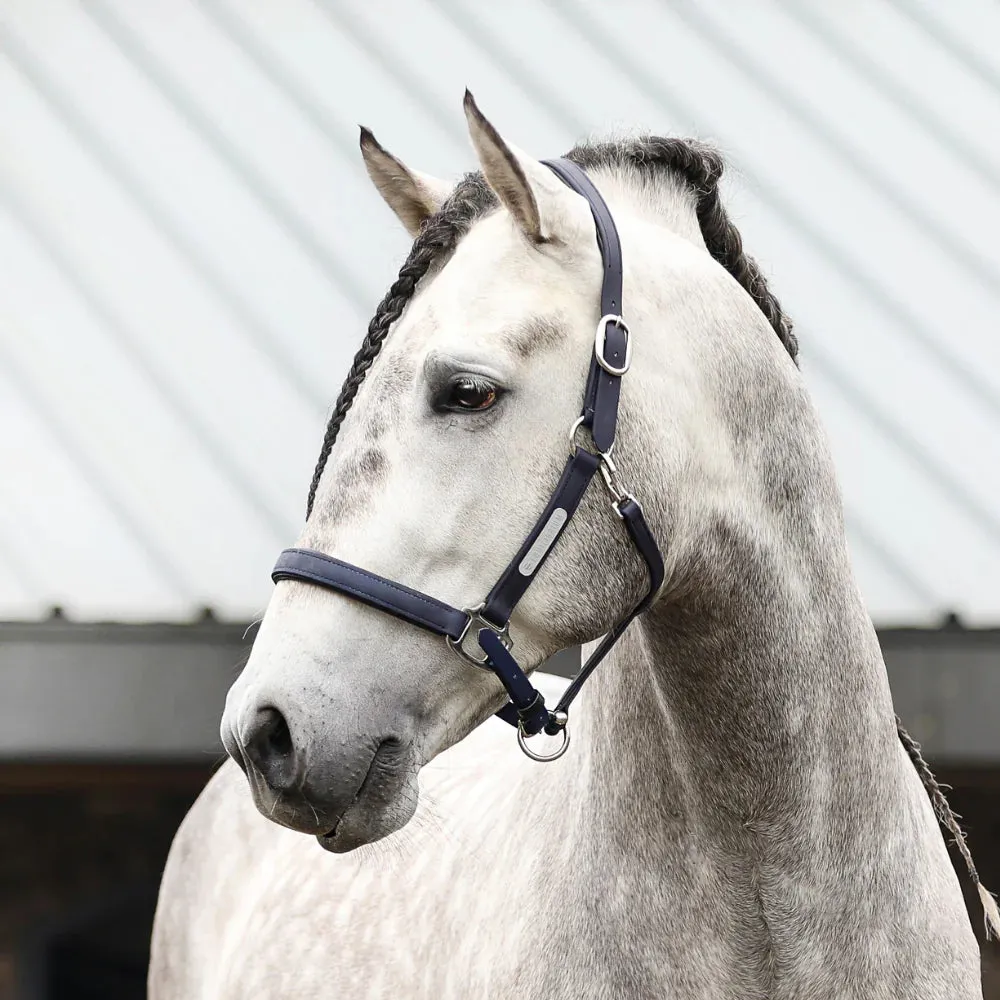 Equilibrium Stellar All Weather Headcollar II