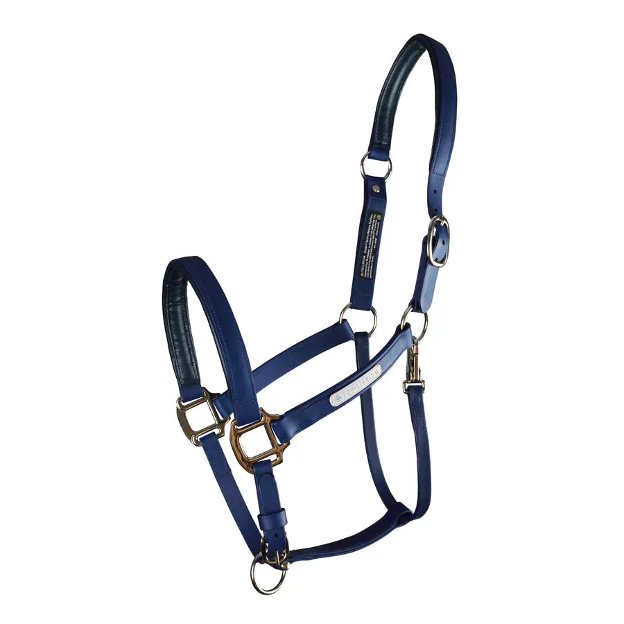 Equilibrium Stellar All Weather Headcollar II