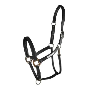 Equilibrium Stellar All Weather Headcollar II