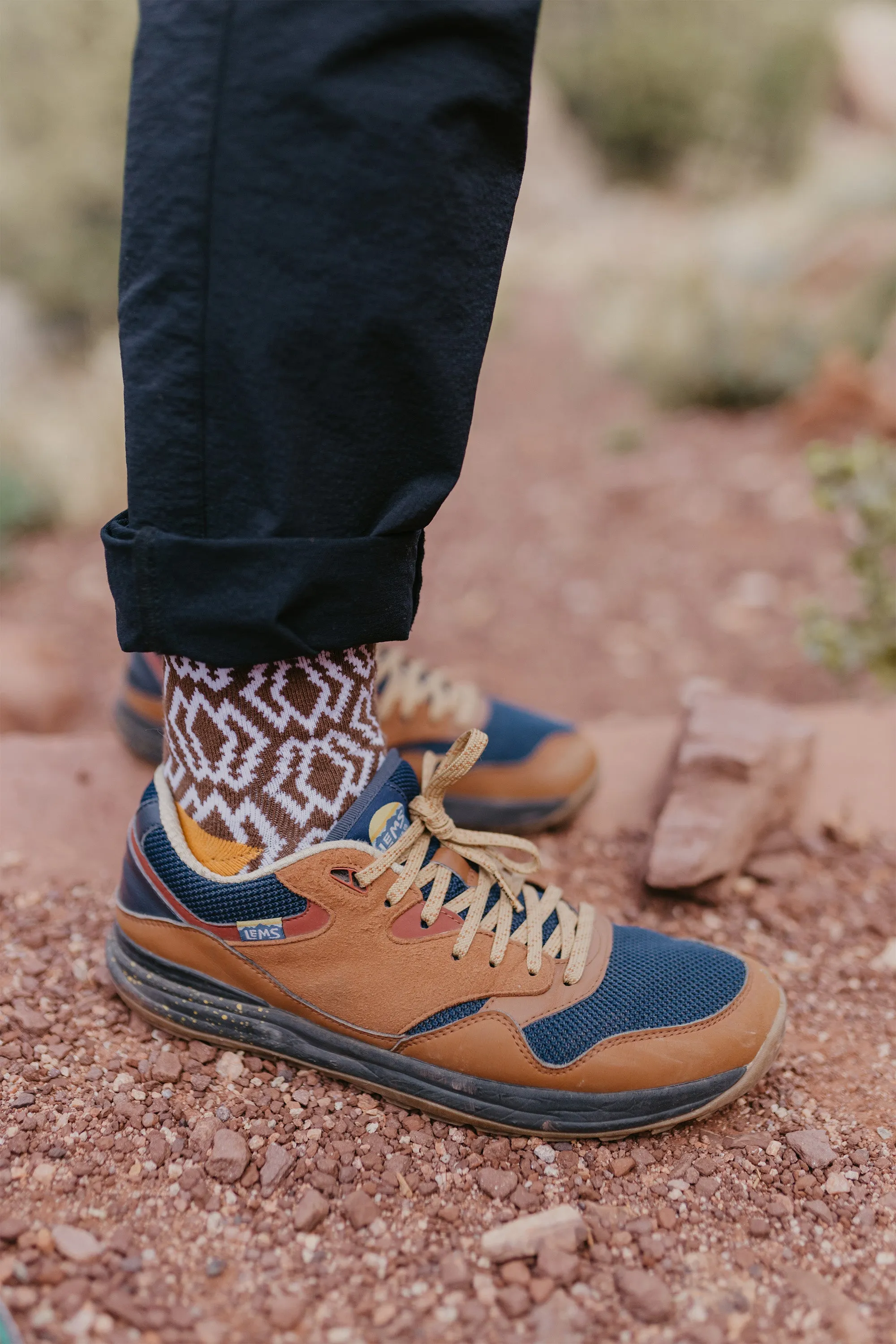 Explorer Socks