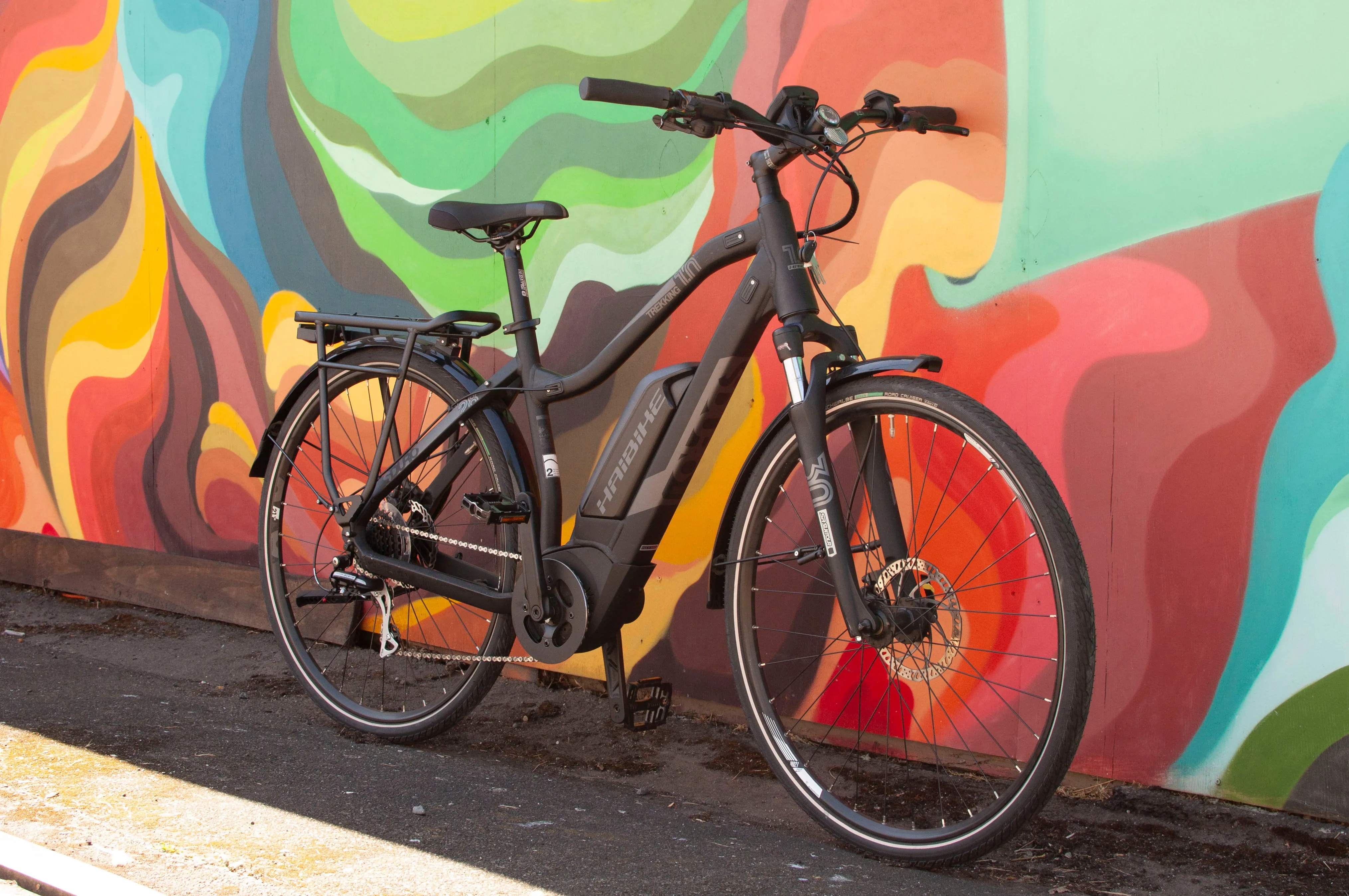 Haibike Sduro Trekking 1.0 E-Bike, Black, Small