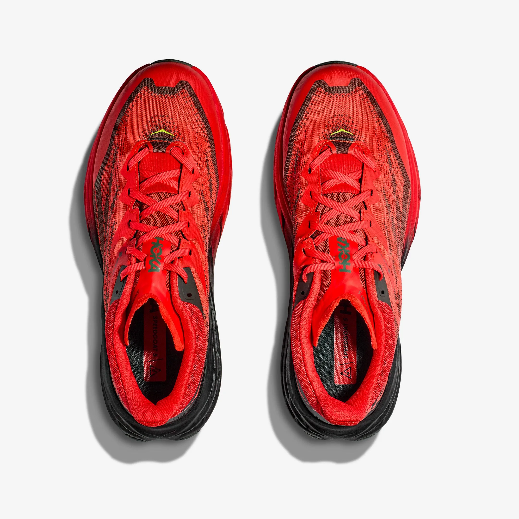 Hoka - Speedgoat 5 GTX - Homme