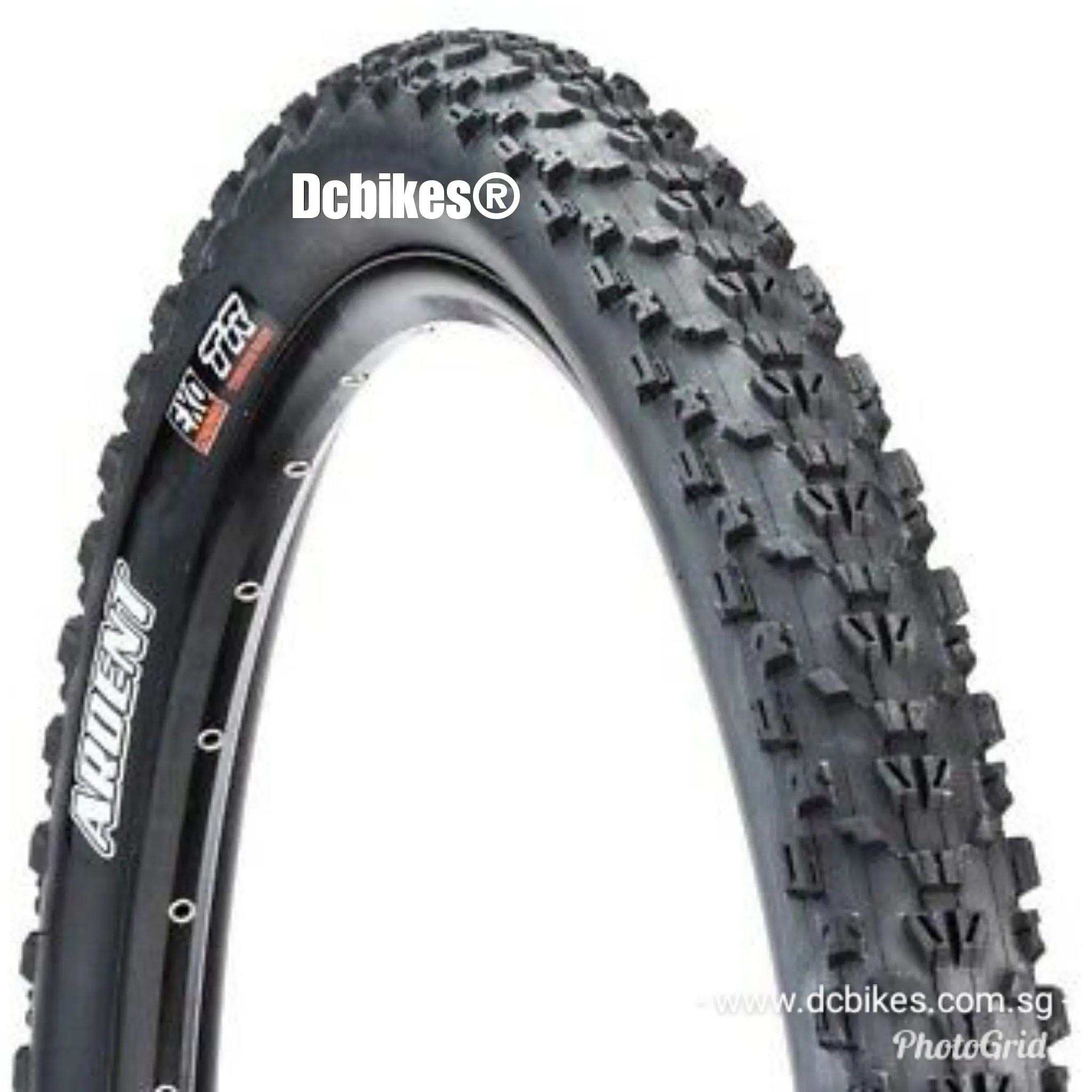 Maxxis 29 X 2.25 Ardent MTB EXO Tubeless Ready MTB Folding Tyres (1 Tire)