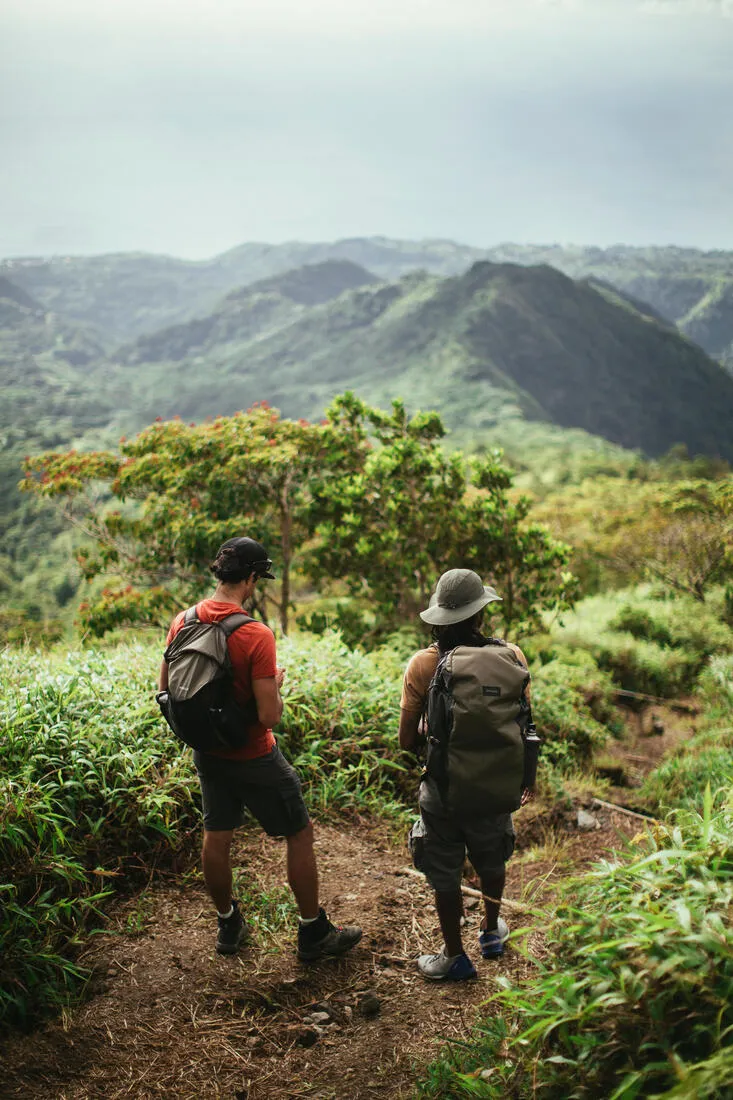 Men's Travel Trekking Cargo Shorts - TRAVEL 500
