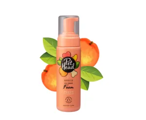 Quick Fix Dry Clean Foam (200ml)