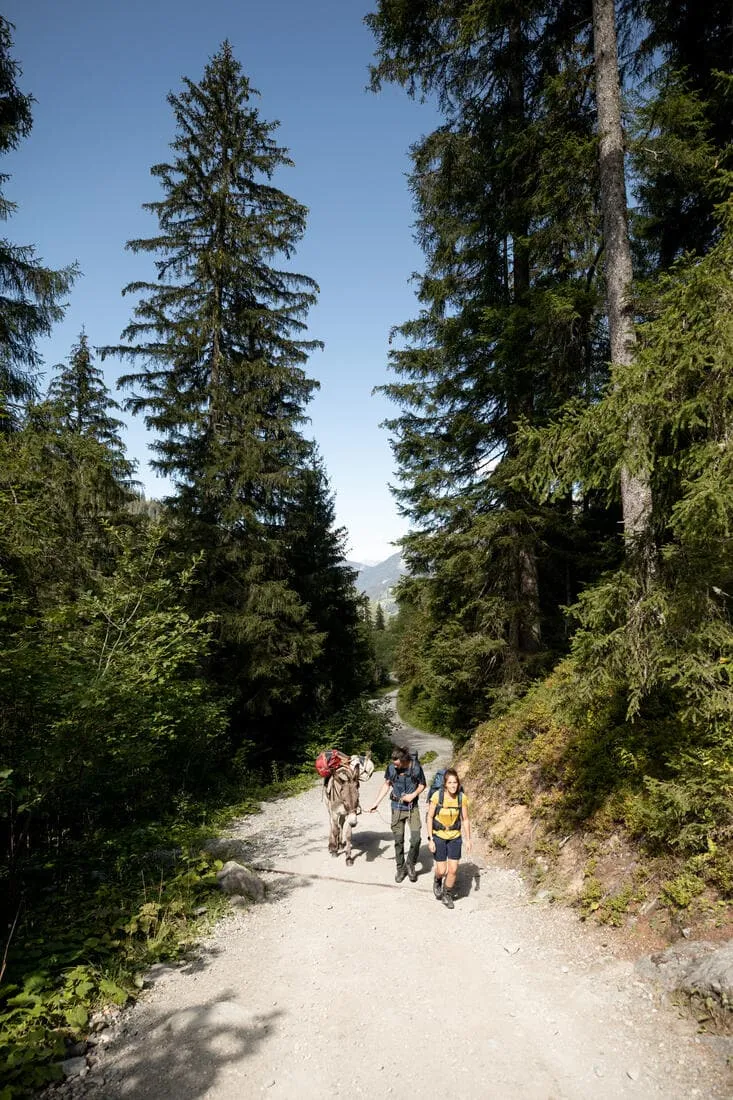 Sac de transport de trekking - 40 L à 60 L - DUFFEL 500 EXTEND