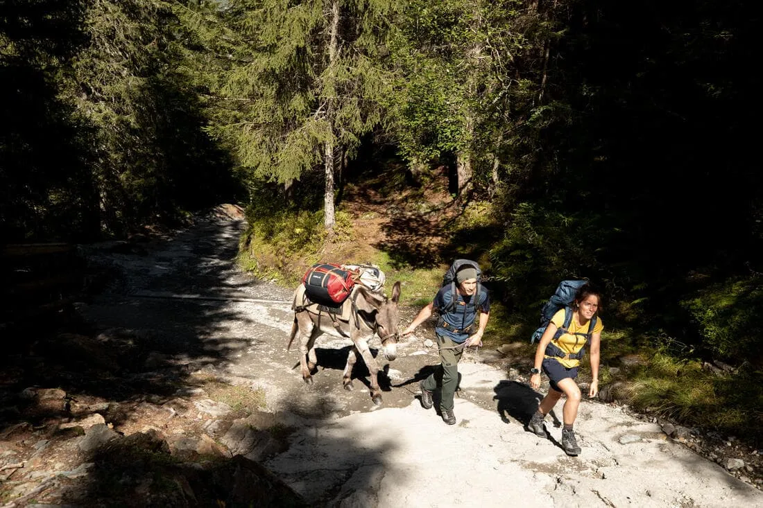 Sac de transport de trekking - 40 L à 60 L - DUFFEL 500 EXTEND