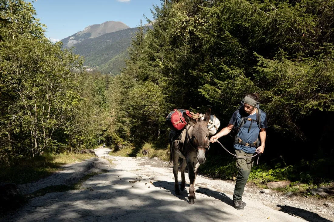 Sac de transport de trekking - 40 L à 60 L - DUFFEL 500 EXTEND