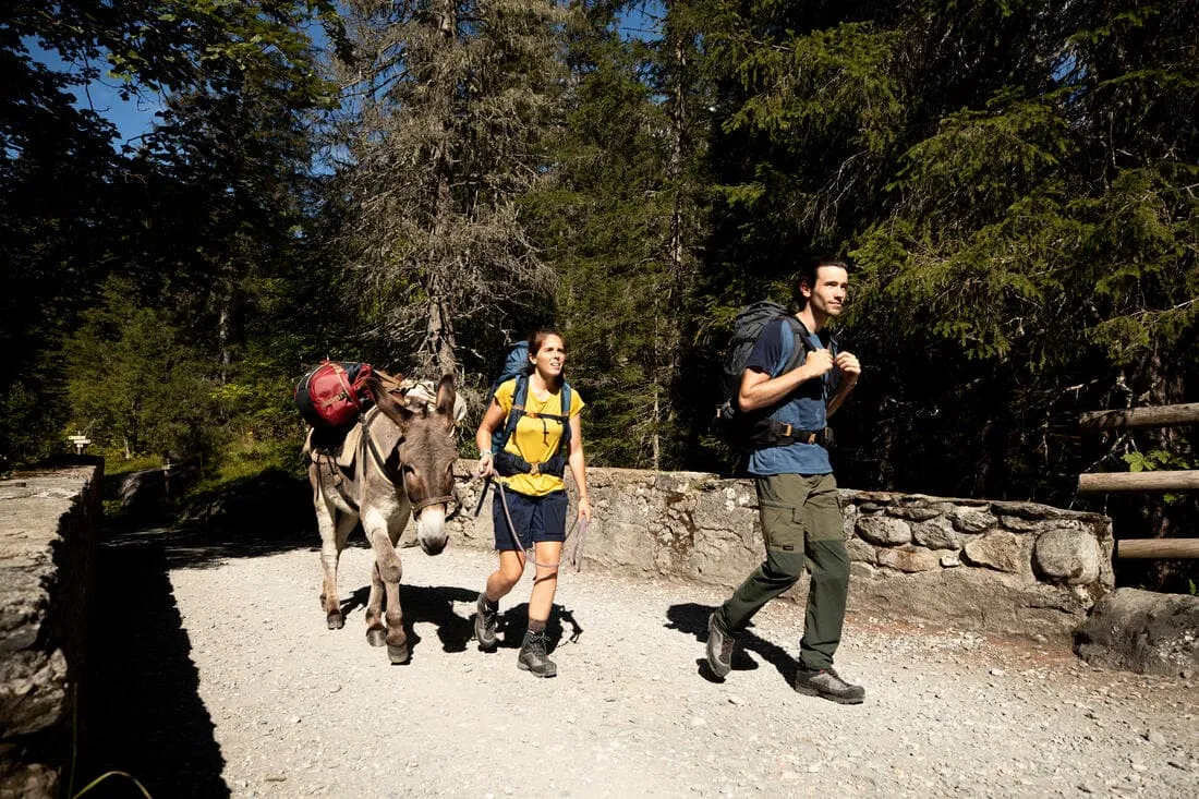 Sac de transport de trekking - 40 L à 60 L - DUFFEL 500 EXTEND