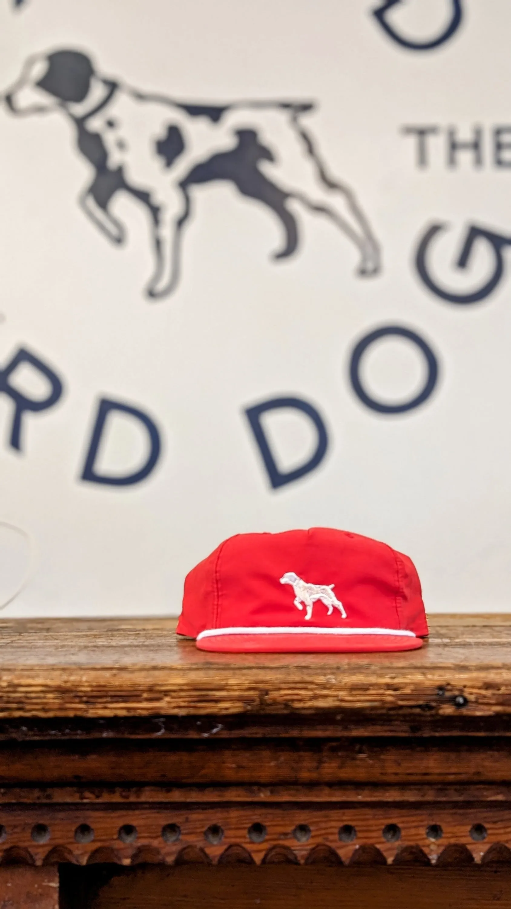 Shop Hat | Pointer  | Ballad of the Bird Dog