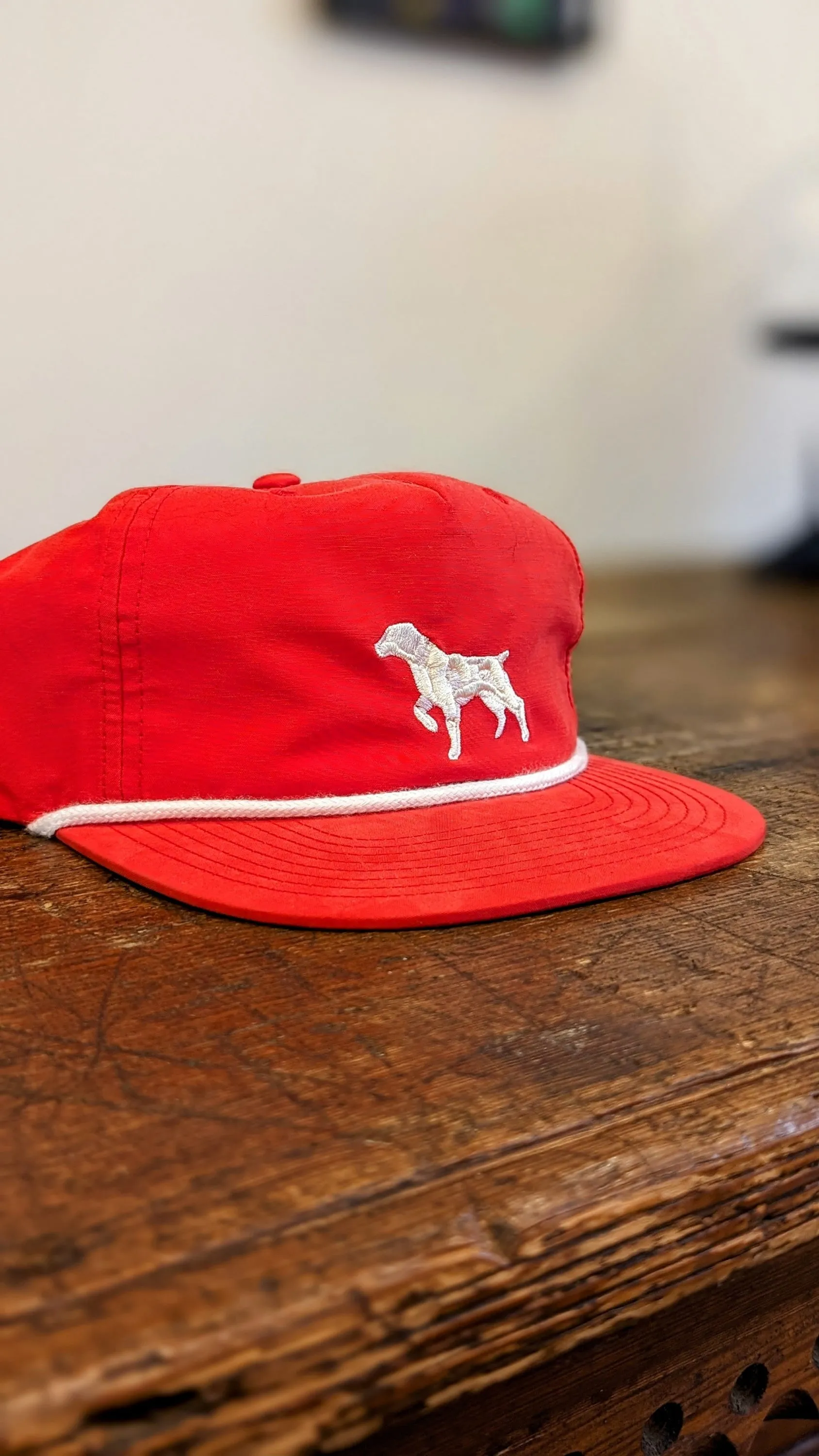 Shop Hat | Pointer  | Ballad of the Bird Dog
