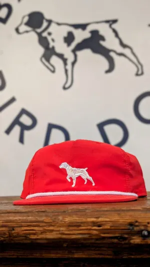 Shop Hat | Pointer  | Ballad of the Bird Dog