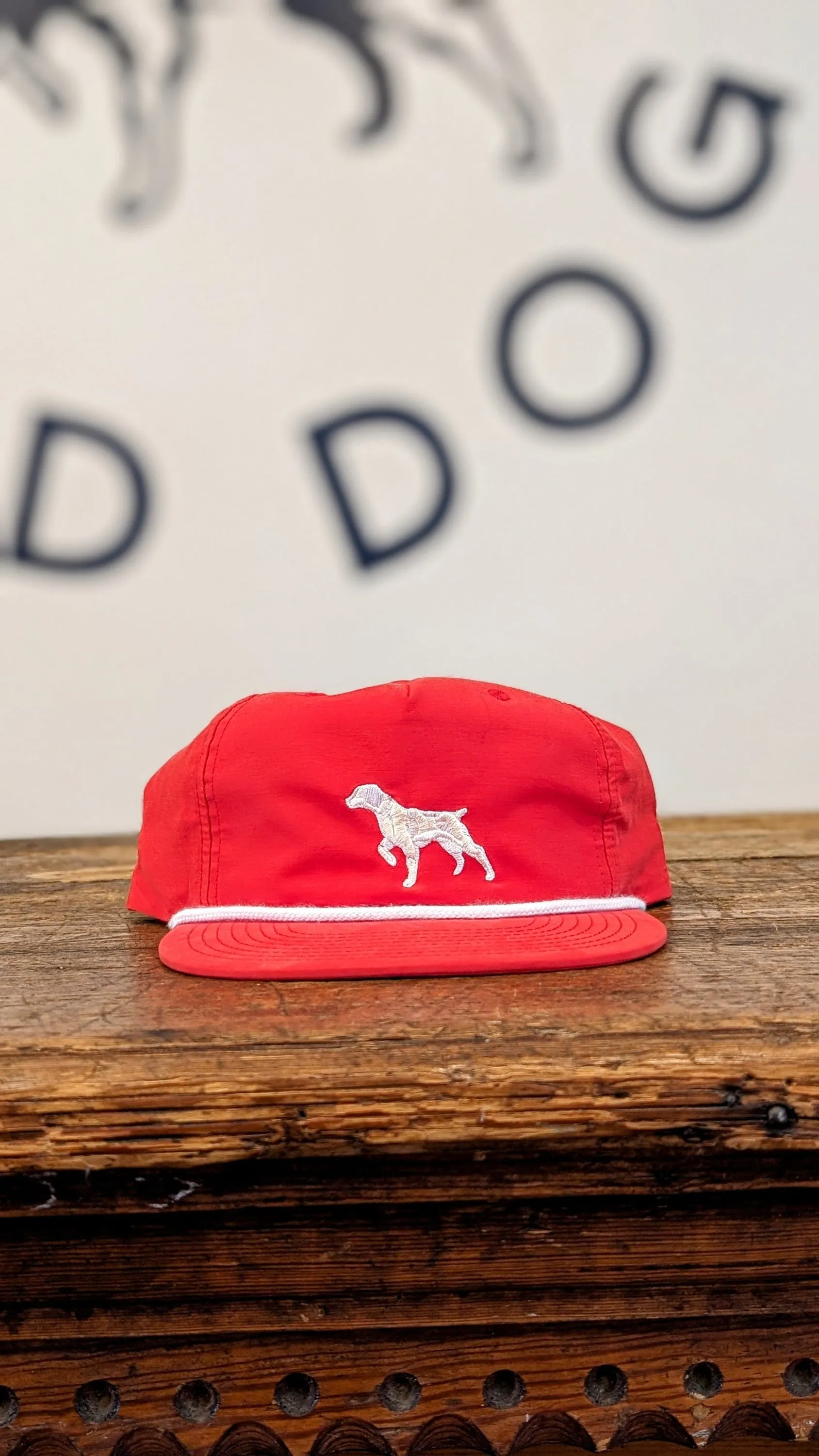 Shop Hat | Pointer  | Ballad of the Bird Dog