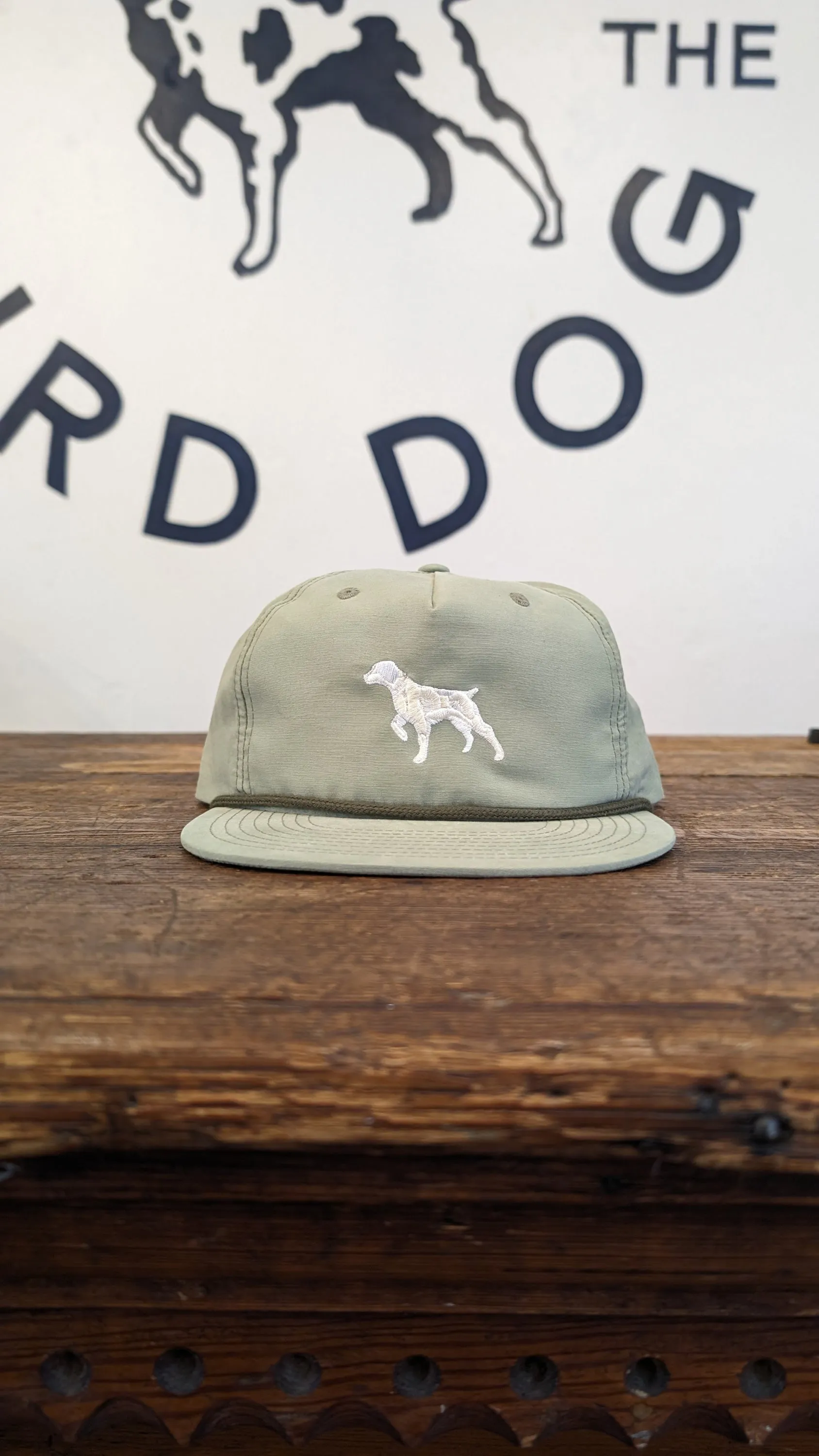 Shop Hat | Pointer  | Ballad of the Bird Dog