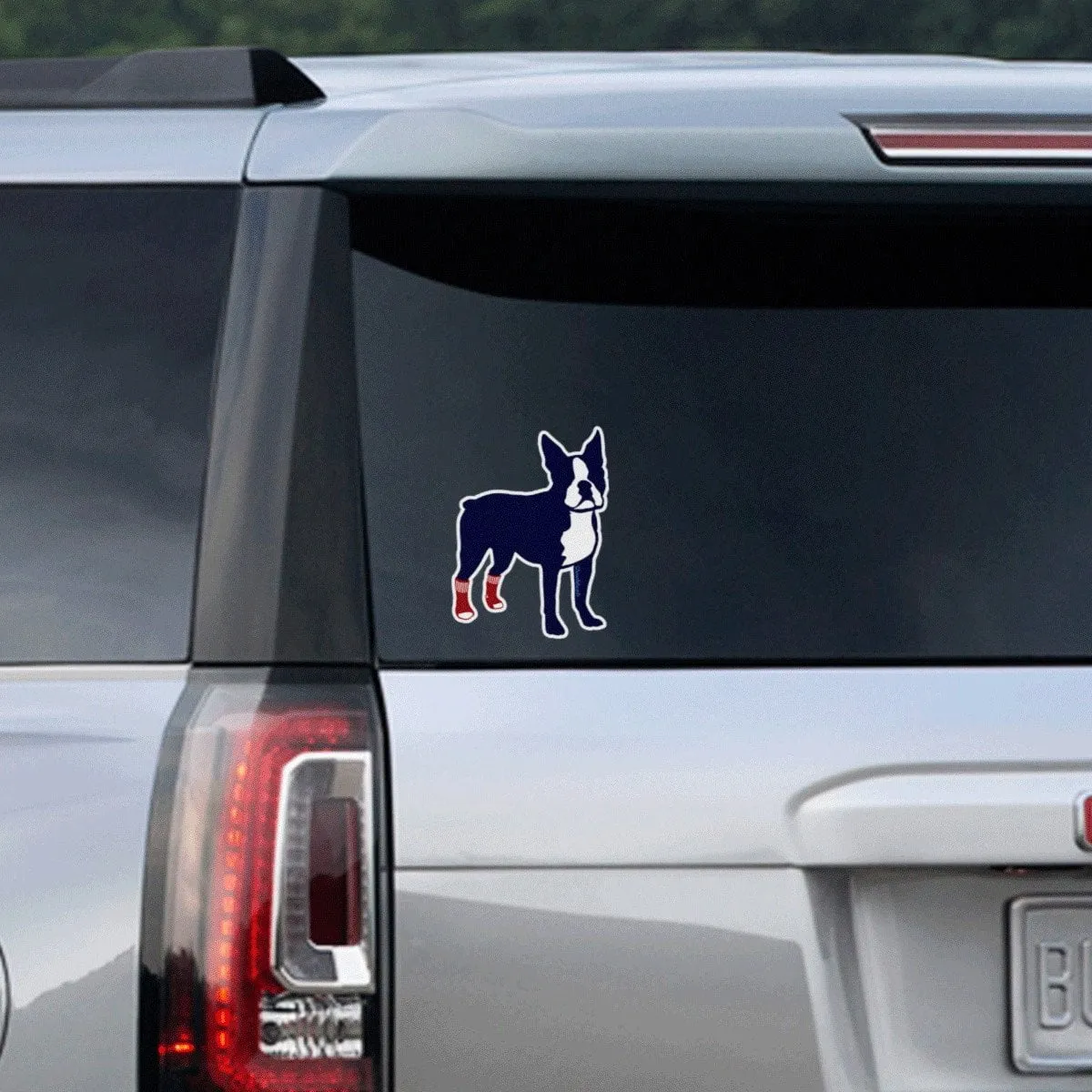 Socks on Boston Terrier Sticker