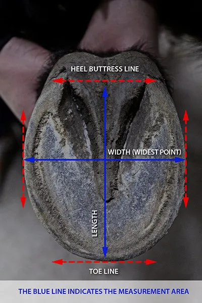 Trekking jogging shoes - Equine Fusion